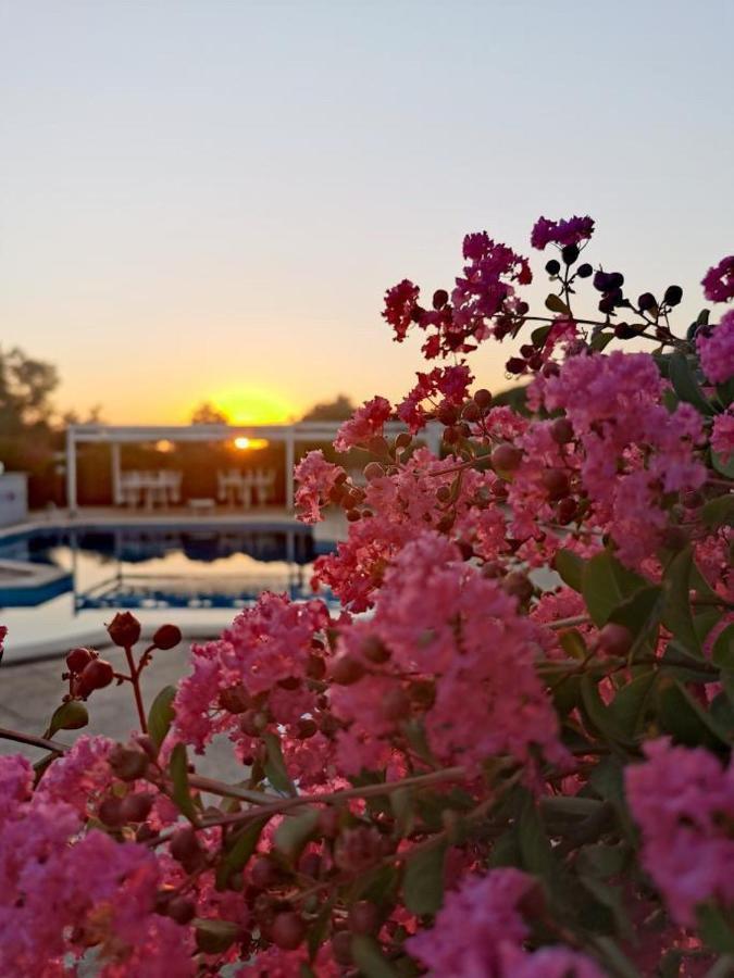 Peperosa B&B And Events Νετούνο Εξωτερικό φωτογραφία